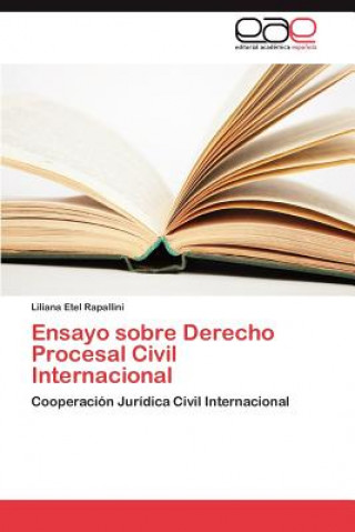 Kniha Ensayo Sobre Derecho Procesal Civil Internacional Liliana Etel Rapallini