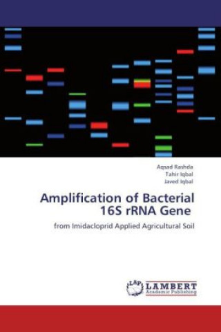 Kniha Amplification of Bacterial 16S rRNA Gene Aqsad Rashda
