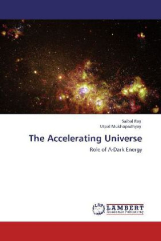 Kniha The Accelerating Universe Saibal Ray