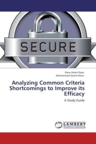 Kniha Analyzing Common Criteria Shortcomings to Improve its Efficacy Rana Aamir Raza