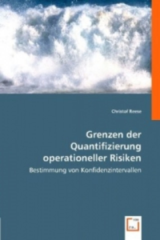 Kniha Grenzen der Quantifizierung operationeller Risiken Christof Reese