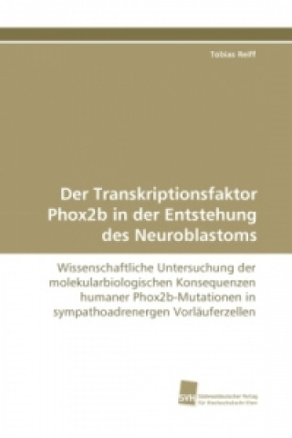 Książka Der Transkriptionsfaktor Phox2b in der Entstehung des Neuroblastoms Tobias Reiff