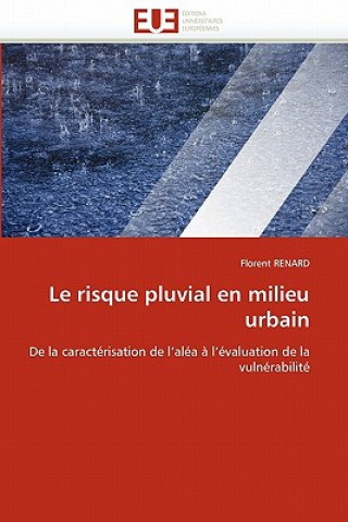 Livre Risque Pluvial En Milieu Urbain Florent Renard