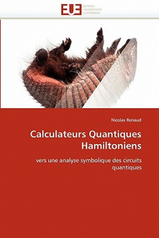 Kniha Calculateurs quantiques hamiltoniens Renaud-N