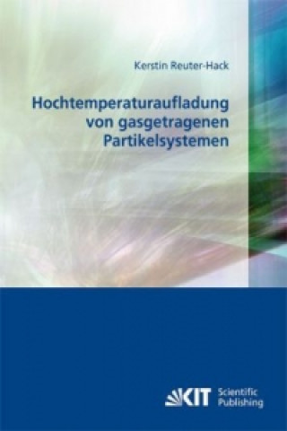 Könyv Hochtemperaturaufladung von gasgetragenen Partikelsystemen Kerstin Reuter-Hack