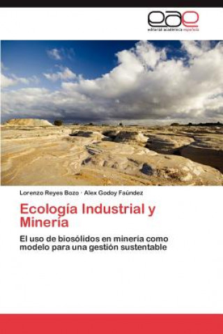 Kniha Ecologia Industrial y Mineria Lorenzo Reyes Bozo