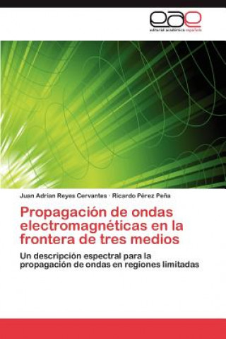 Książka Propagacion de ondas electromagneticas en la frontera de tres medios Reyes Cervantes Juan Adrian