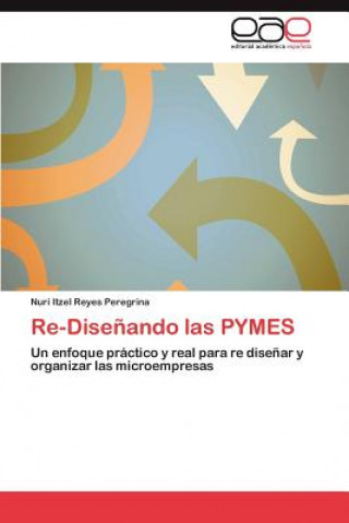 Книга Re-Disenando las PYMES Nuri Itzel Reyes Peregrina