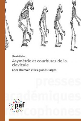 Kniha Asymetrie Et Courbures de la Clavicule Claude Richer