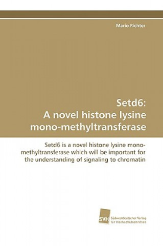 Buch Setd6 Mario Richter