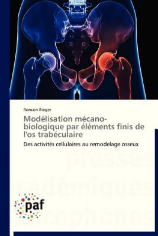 Kniha Modelisation Mecano-Biologique Par Elements Finis de l'Os Trabeculaire Romain Rieger