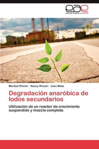 Buch Degradacion Anarobica de Lodos Secundarios Maribet Rincón