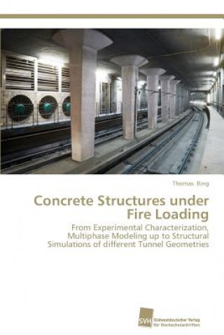 Livro Concrete Structures under Fire Loading Thomas Ring