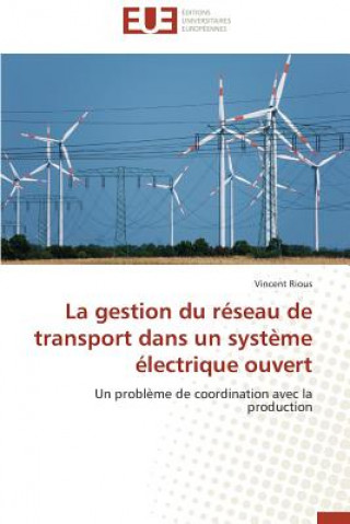Kniha Gestion Du R seau de Transport Dans Un Syst me  lectrique Ouvert Vincent Rious