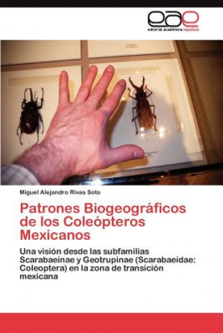 Carte Patrones Biogeograficos de los Coleopteros Mexicanos Miguel Alejandro Rivas Soto