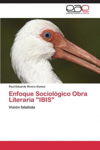 Könyv Enfoque Sociologico Obra Literaria Ibis Raul Eduardo Rivera Gomez