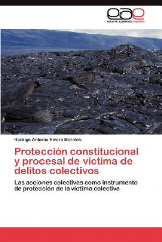 Książka Proteccion constitucional y procesal de victima de delitos colectivos Rodrigo Antonio Rivera Morales