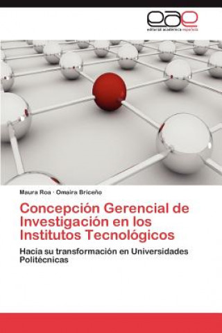 Kniha Concepcion Gerencial de Investigacion En Los Institutos Tecnologicos Maura Roa