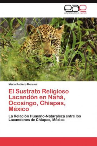 Carte Sustrato Religioso Lacandon En Naha, Ocosingo, Chiapas, Mexico Marin Roblero Morales
