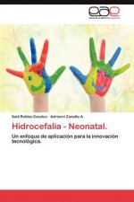 Könyv Hidrocefalia - Neonatal. Said Robles Casolco