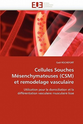 Könyv Cellules Souches M senchymateuses (Csm) Et Remodelage Vasculaire Gaël Rochefort