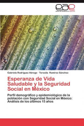 Kniha Esperanza de Vida Saludable y La Seguridad Social En Mexico Gabriela Rodriguez Abrego