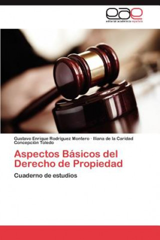 Książka Aspectos Basicos del Derecho de Propiedad Gustavo Enrique Rodríguez Montero