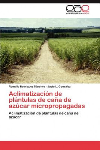 Книга Aclimatizacion de Plantulas de Cana de Azucar Micropropagadas Romelio Rodríguez Sánchez