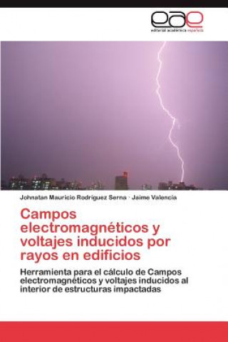 Könyv Campos Electromagneticos y Voltajes Inducidos Por Rayos En Edificios Johnatan Mauricio Rodríguez Serna