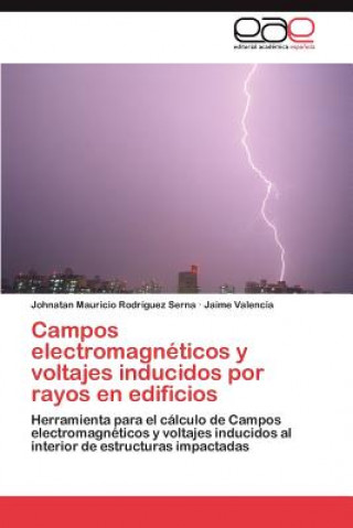 Kniha Campos Electromagneticos y Voltajes Inducidos Por Rayos En Edificios Johnatan Mauricio Rodríguez Serna