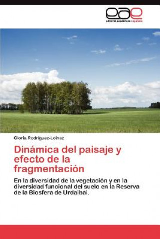 Buch Dinamica del paisaje y efecto de la fragmentacion Gloria Rodríguez-Loinaz