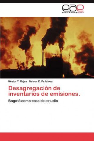 Książka Desagregacion de inventarios de emisiones. Néstor Y. Rojas