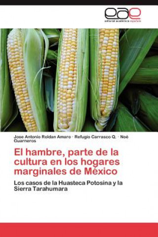 Book Hambre, Parte de La Cultura En Los Hogares Marginales de Mexico Jose Antonio Roldan Amaro