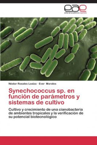 Könyv Synechococcus sp. en funcion de parametros y sistemas de cultivo Néstor Rosales Loaiza