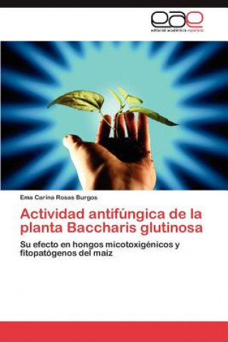 Buch Actividad Antifungica de La Planta Baccharis Glutinosa Ema Carina Rosas Burgos