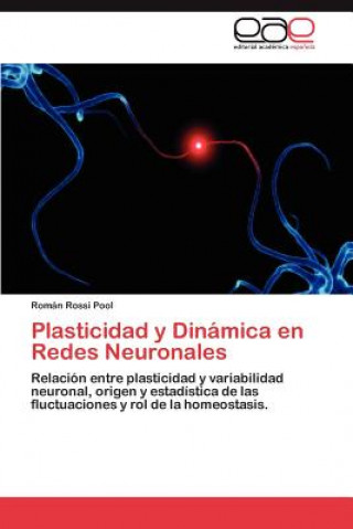 Книга Plasticidad y Dinamica En Redes Neuronales Román Rossi Pool