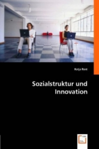 Könyv Sozialstruktur und Innovation Katja Rost