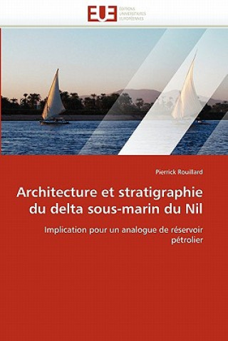 Carte Architecture Et Stratigraphie Du Delta Sous-Marin Du Nil Pierrick Rouillard
