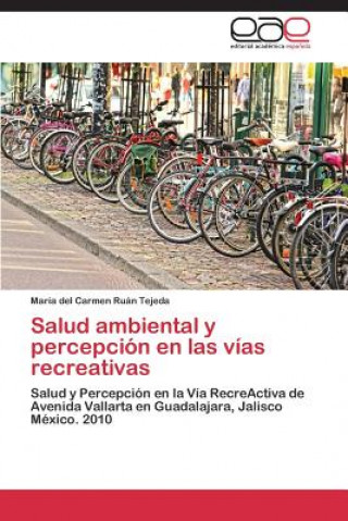 Kniha Salud ambiental y percepcion en las vias recreativas María del Carmen Ruán Tejeda