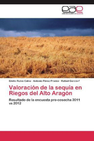 Kniha Valoracion de la sequia en Riegos del Alto Aragon Emilio Rubio Calvo