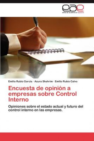 Kniha Encuesta de Opinion a Empresas Sobre Control Interno Emilio Rubio García