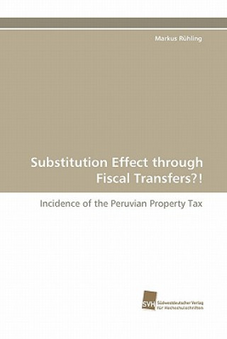 Könyv Substitution Effect Through Fiscal Transfers?! Markus Rühling
