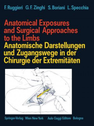 Książka Anatomical Exposures and Surgical Approaches to the Limbs Anatomische Darstellungen und Zugangswege in der Chirurgie der Extremitaten Francesco Ruggieri