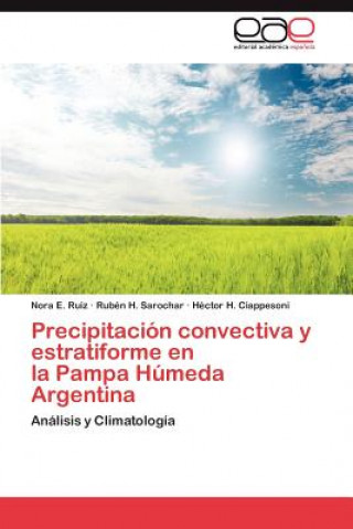 Buch Precipitacion convectiva y estratiforme en la Pampa Humeda Argentina Nora E. Ruiz