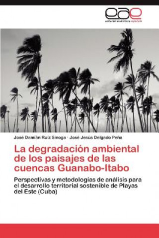 Kniha Degradacion Ambiental de Los Paisajes de Las Cuencas Guanabo-Itabo José Damián Ruíz Sinoga