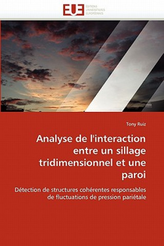 Könyv Analyse de l''interaction Entre Un Sillage Tridimensionnel Et Une Paroi Tony Ruiz