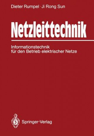 Kniha Netzleittechnik Dieter Rumpel