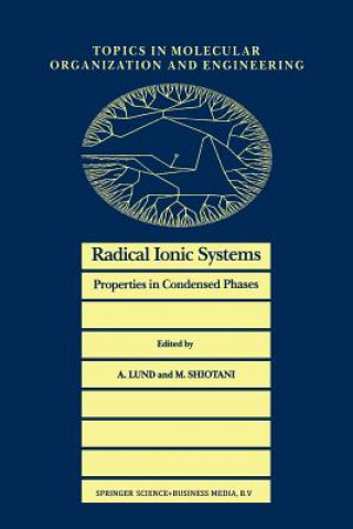 Książka Radical Ionic Systems Anders Lund