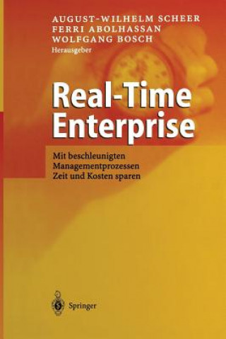 Βιβλίο Real-Time Enterprise Ferri Abolhassan