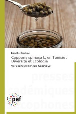 Carte Capparis Spinosa L. En Tunisie Ezzeddine Saadaoui